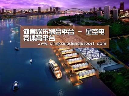 案例展示八