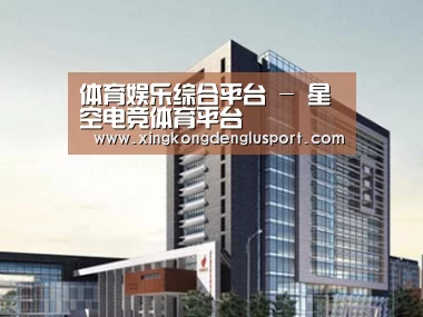 案例展示七