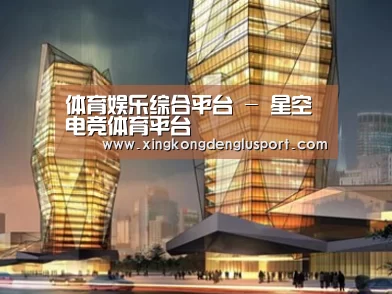 案例展示三