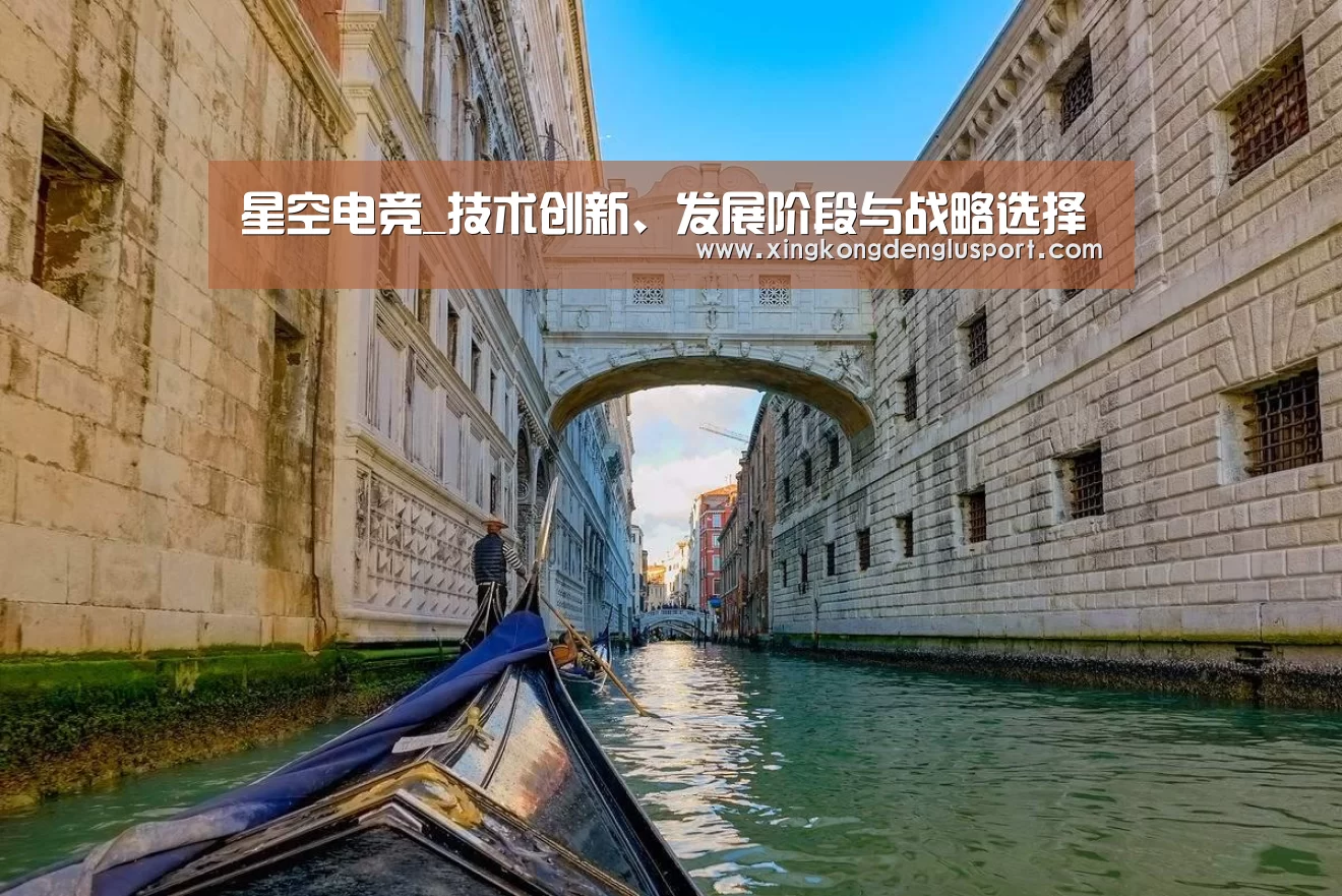 星空电竞_技术创新、发展阶段与战略选择(图1) 星空真人