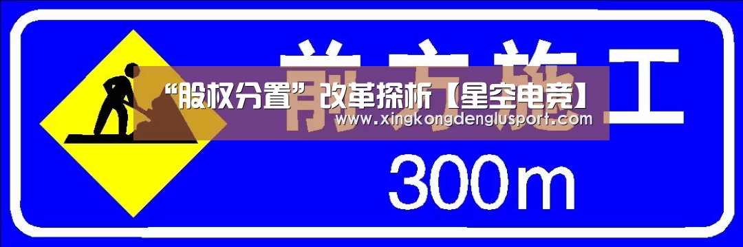 “股权分置”改革探析【星空电竞】