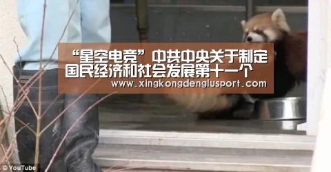 “星空电竞”中共中央关于制定国民经济和社会发展第十一个五年规划的建议(图1) 星空体育