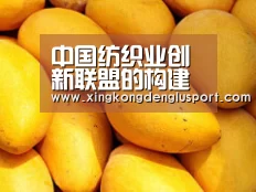中国纺织业创新联盟的构建与生态化建设-星空真人(图4) 星空真人