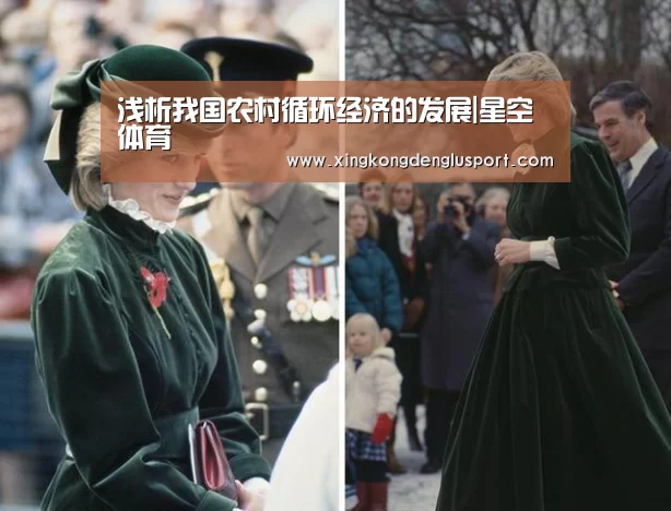 浅析我国农村循环经济的发展|星空体育(图2) 星空体育